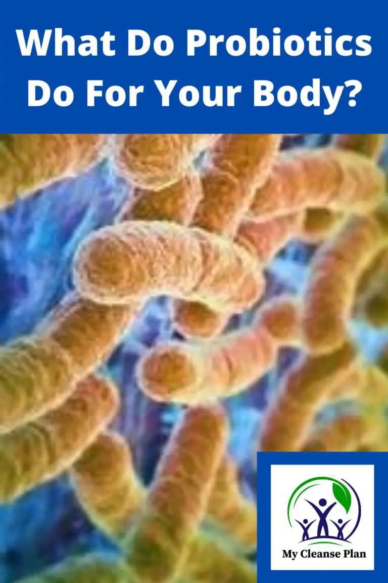 What Do Probiotics Do For Your Body? Do They Really Keep You Healthy?