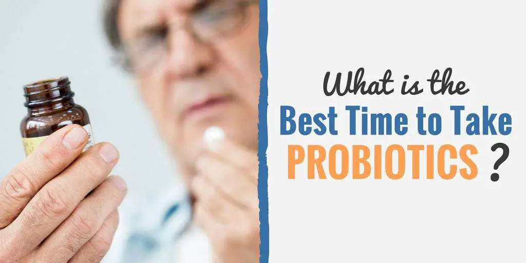 What Is the Best (and Worst) Time to Take Probiotics?