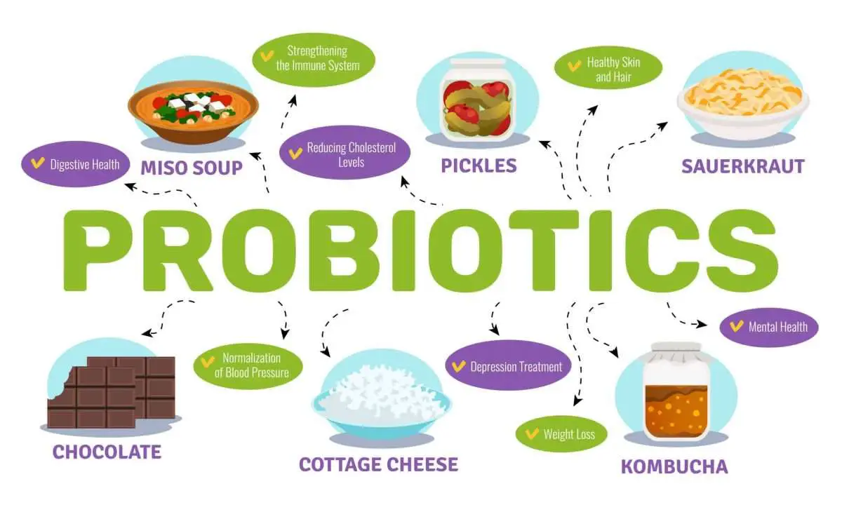What is the Best Time to Take Probiotics?