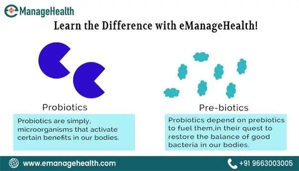 What is the difference between prebiotics and probiotics ...