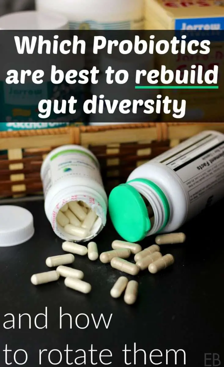 Which Probiotics are Best to Rebuild Gut Diversity and How to Rotate ...