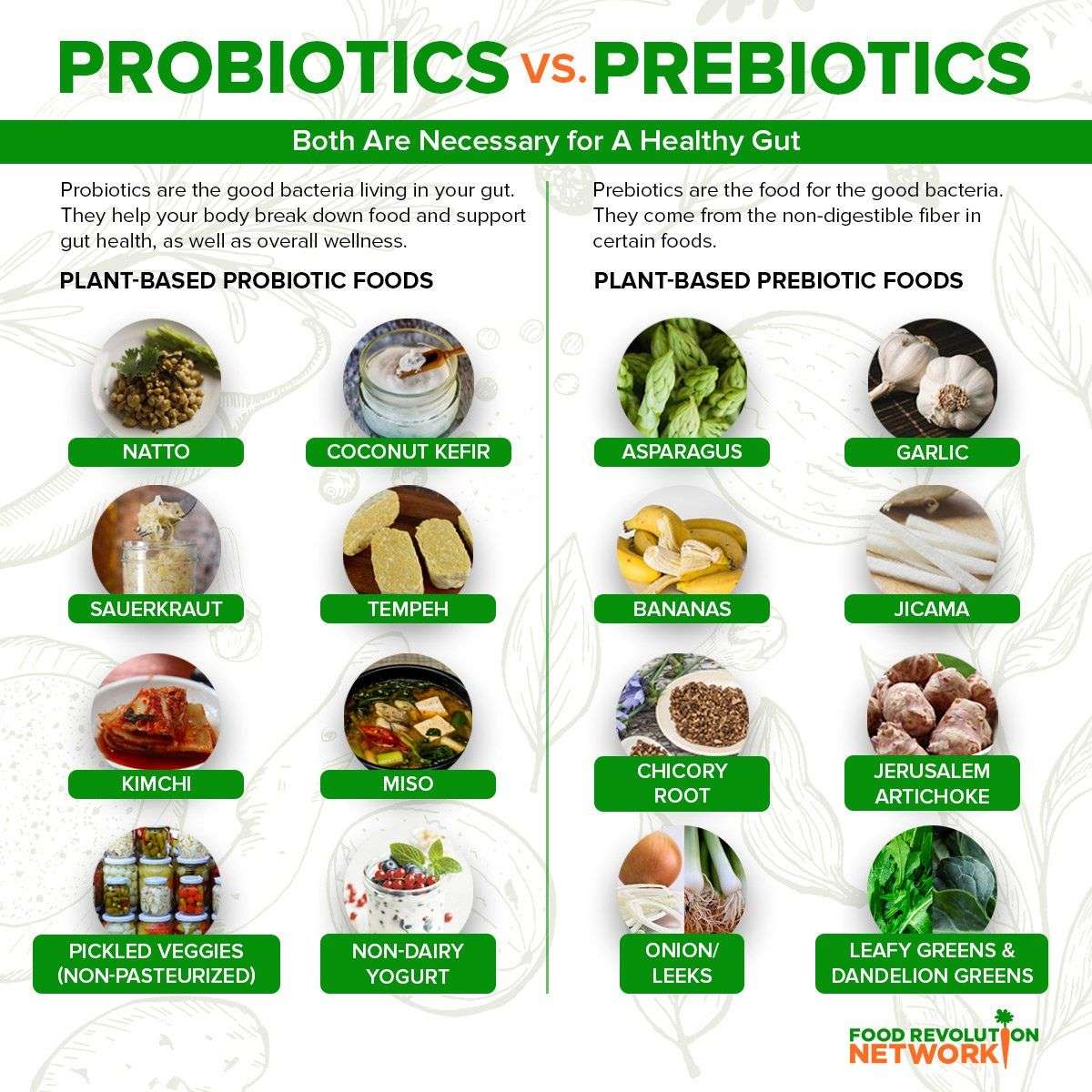 Why You Need Both Probiotics and Prebiotics for Good Gut Health and ...