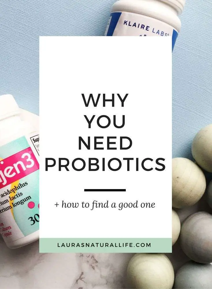 Why You Need Probiotics + How To Find A Good One  Laura