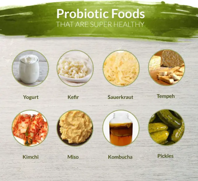 Why you should make friends with Probiotics for a healthy gut